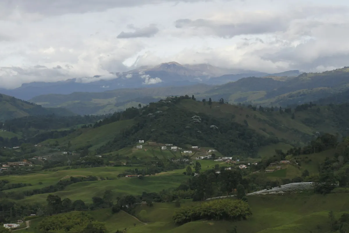Las montañas verdes del Eje Cafetero