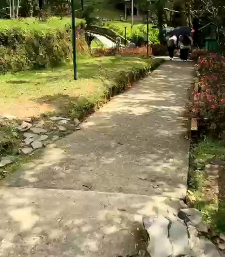 Senderos y jardines